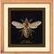 Thea Gouverneur Since 1959® Honey Bee Counted Cross Stitch Kit